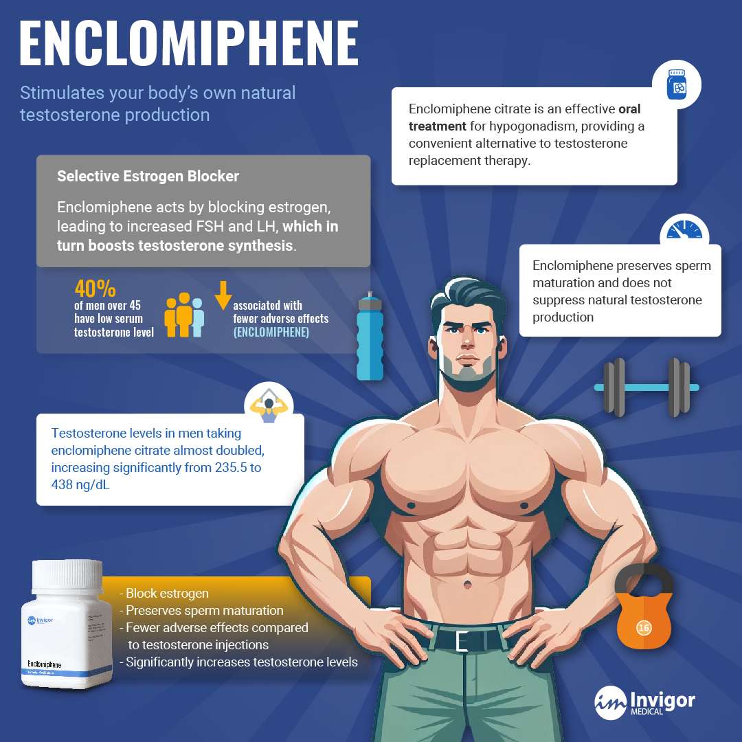What Is Enclomiphene Side Effects Safety And More